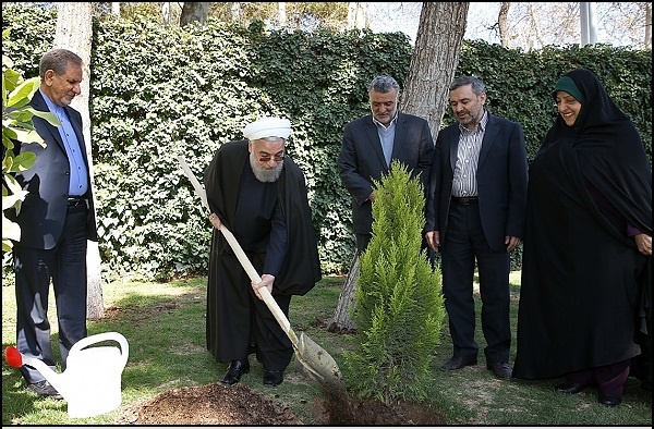 (تصاویر) همکاری روحانی، جهانگیری و ابتکار برای کاشت یک نهال