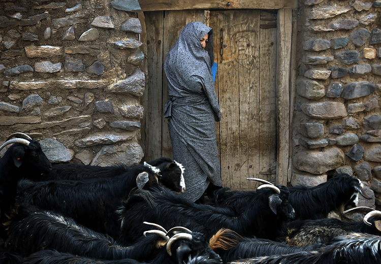 تصویر تصویر
