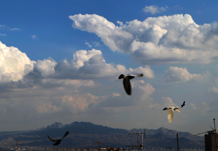 تصویر تصویر