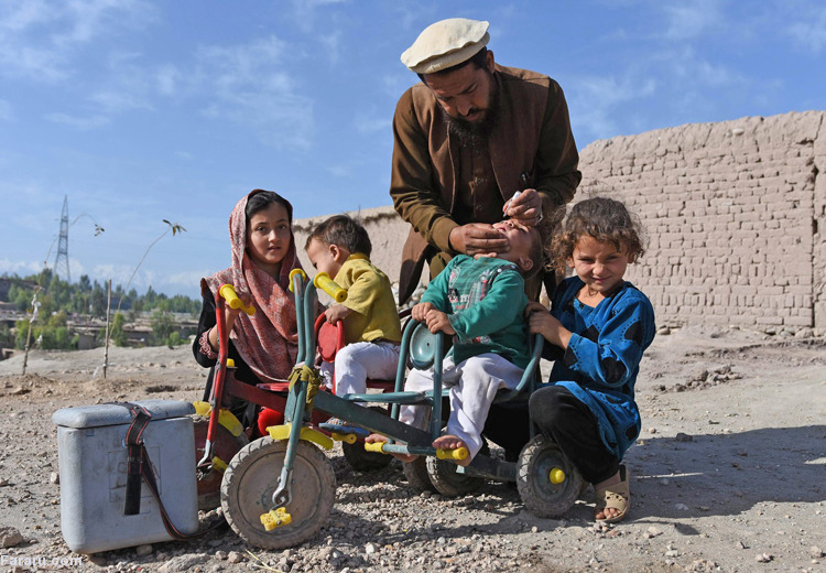 تصویر تصویر