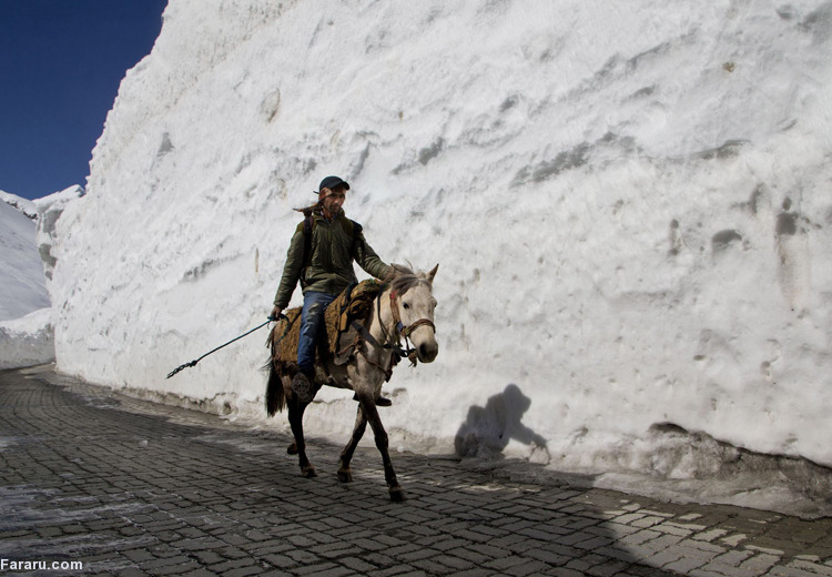 تصویر تصویر