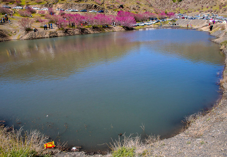 تصویر تصویر