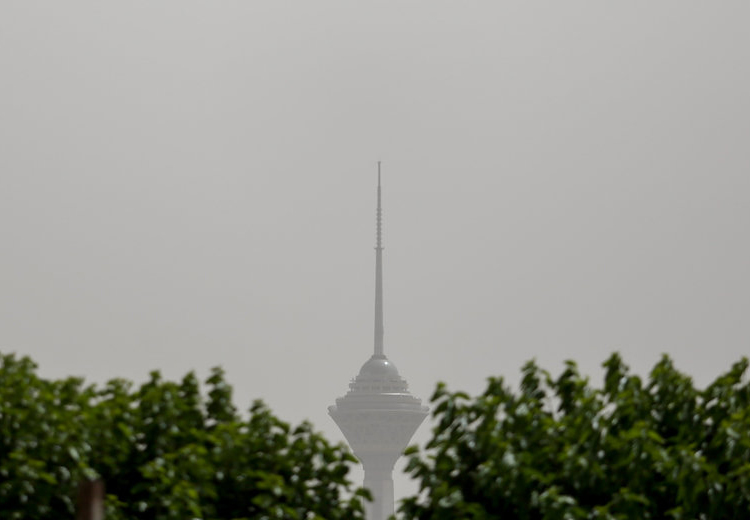 تصویر تصویر