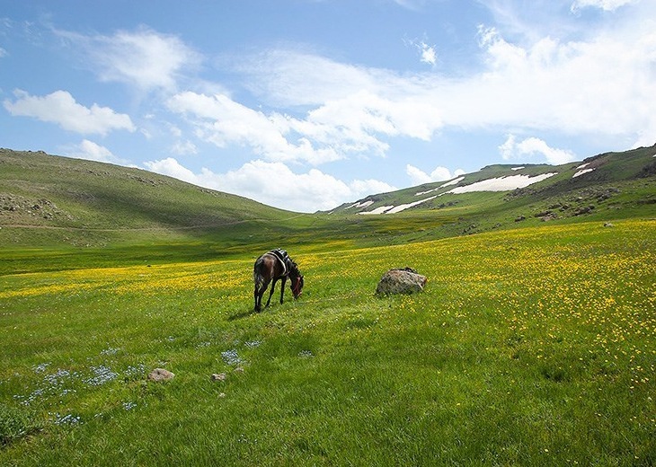 تصویر تصویر