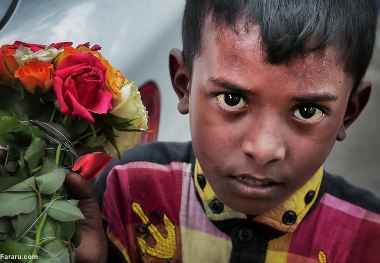 تصویر تصویر