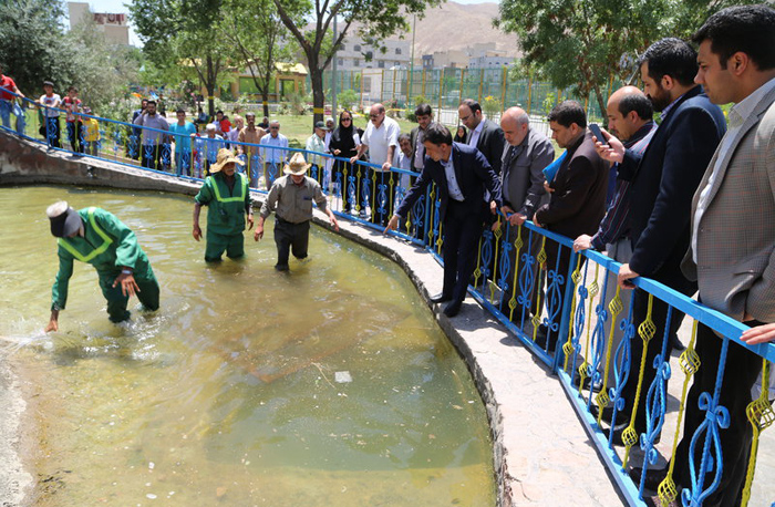 (تصاویر) محل حادثه مرگبار برای دختربچه تهرانی (تصاویر) محل حادثه مرگبار برای دختربچه تهرانی