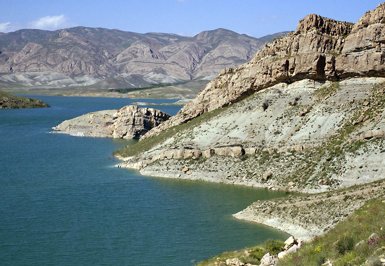 تصویر تصویر
