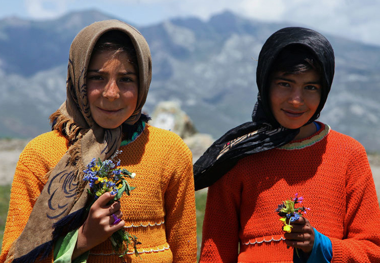تصویر تصویر