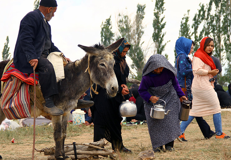 تصویر تصویر