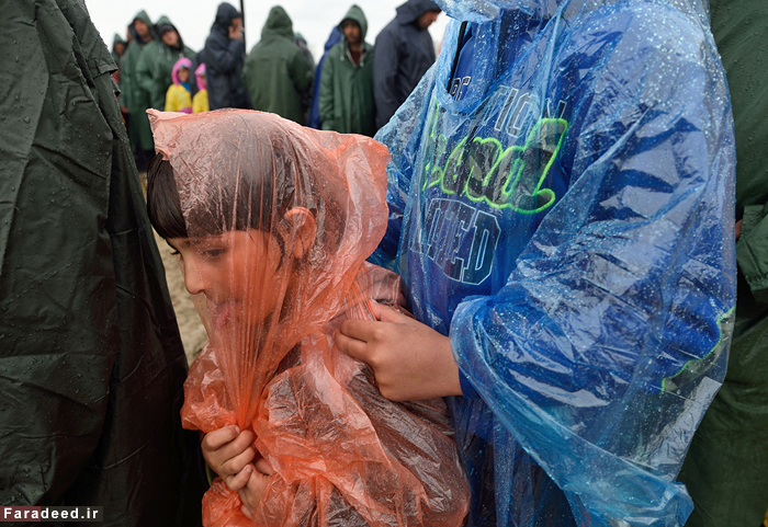 (تصاویر) ما با مرگ بزرگ می‌شویم