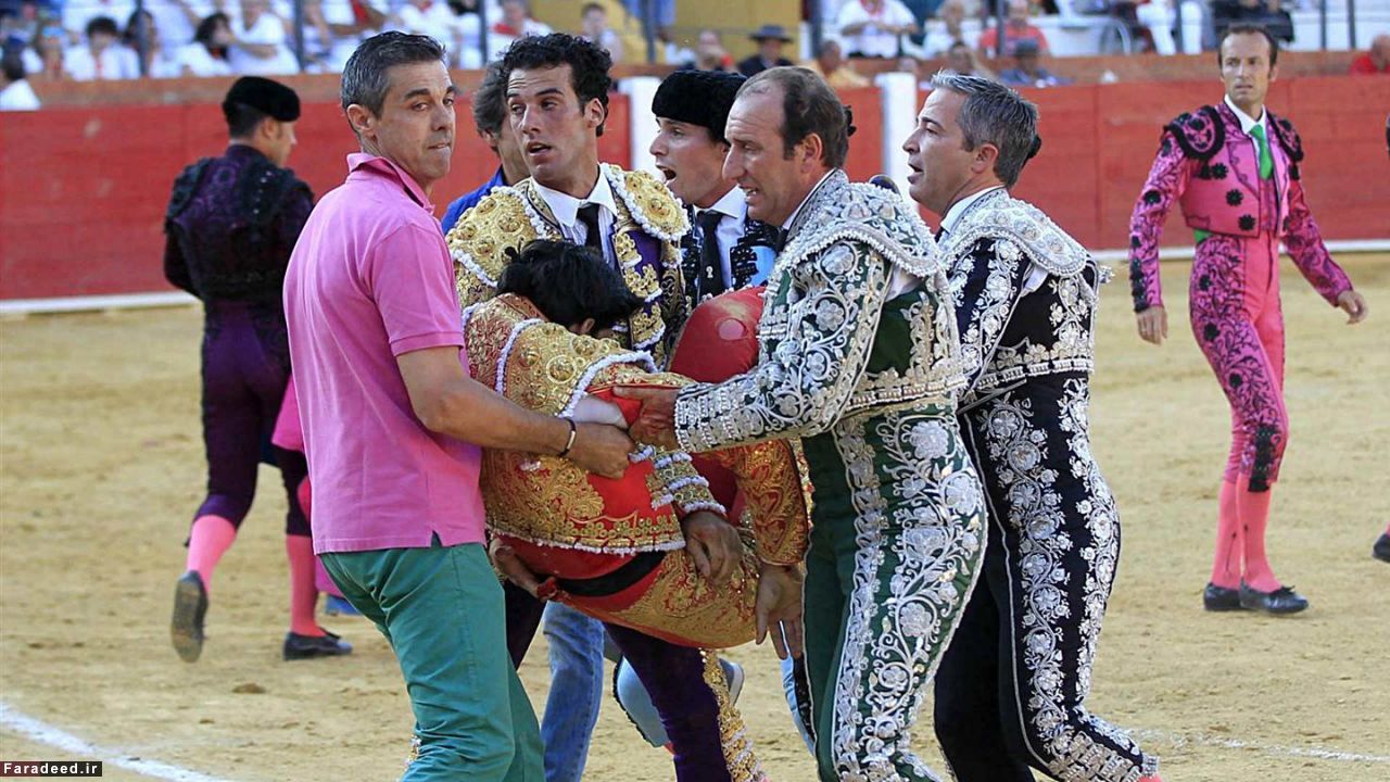(تصاویر) کشتهشدن ماتادور 29ساله در نبرد با گاو (تصاویر) کشتهشدن ماتادور 29ساله در نبرد با گاو