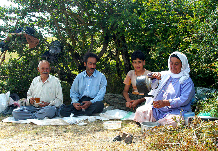 تصویر تصویر