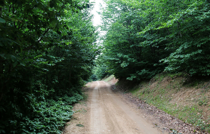 (تصاویر) مناظر زیبای جاده اسالم به خلخال (تصاویر) مناظر زیبای جاده اسالم به خلخال