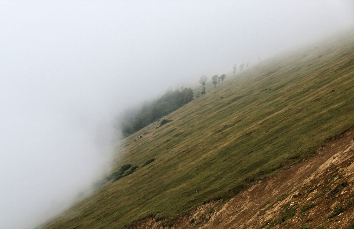 (تصاویر) مناظر زیبای جاده اسالم به خلخال (تصاویر) مناظر زیبای جاده اسالم به خلخال