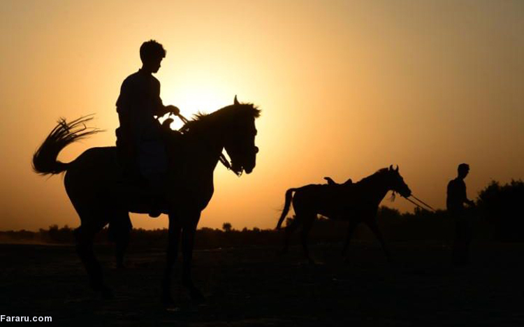 تصویر تصویر