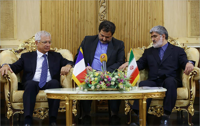 (تصاویر) استقبال مطهری از رئیس مجلس فرانسه (تصاویر) استقبال مطهری از رئیس مجلس فرانسه