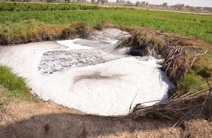 (تصاویر) آبیاری زمین با آب فاضلاب در سیستان (تصاویر) آبیاری زمین با آب فاضلاب در سیستان