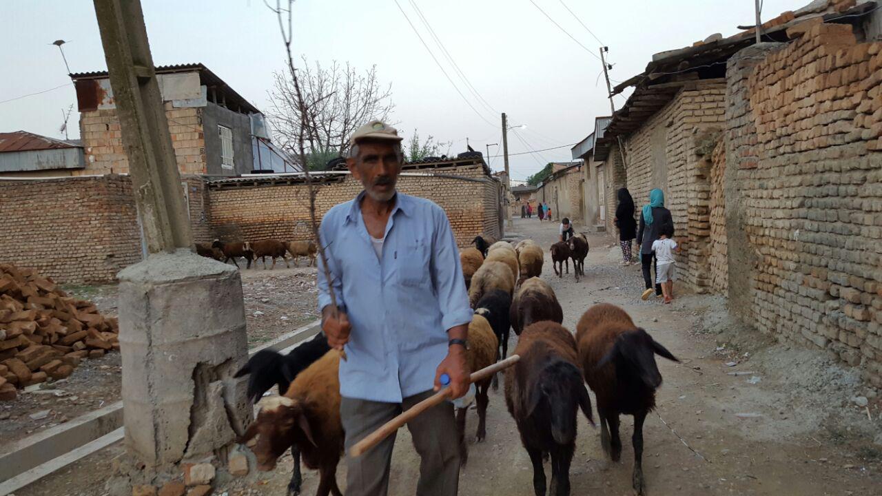 داستان خواندنی مردی که در غربت روستا میسازد +(تصاویر) داستان خواندنی مردی که در غربت روستا میسازد +(تصاویر)