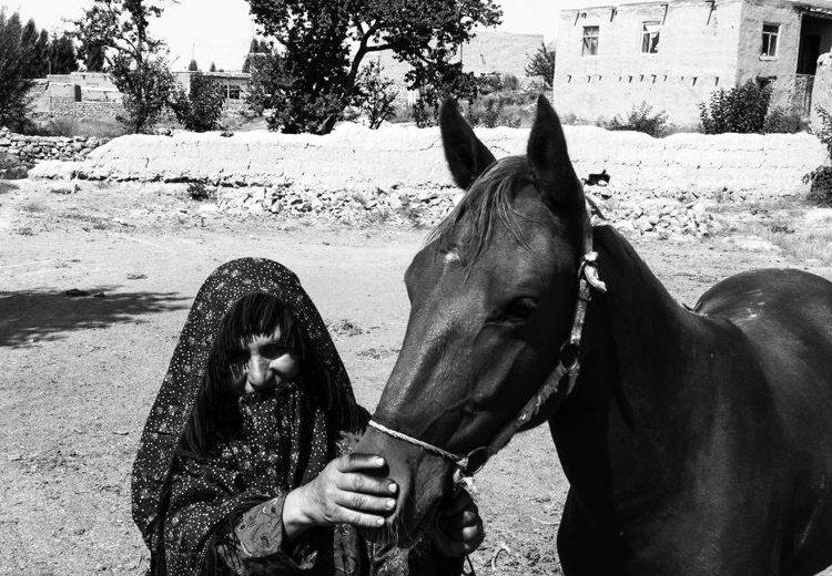 تصویر تصویر