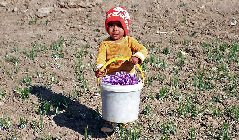 تصویر تصویر