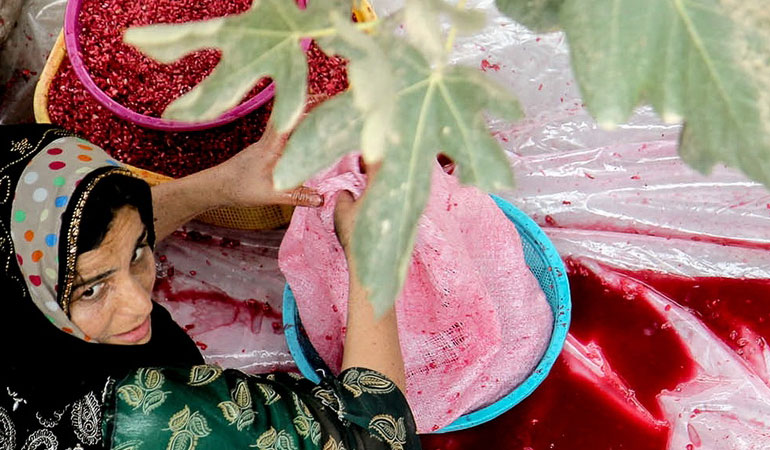 تصویر تصویر