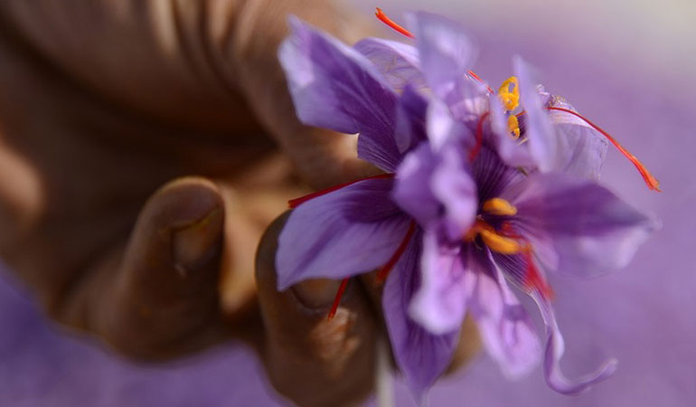 تصویر تصویر
