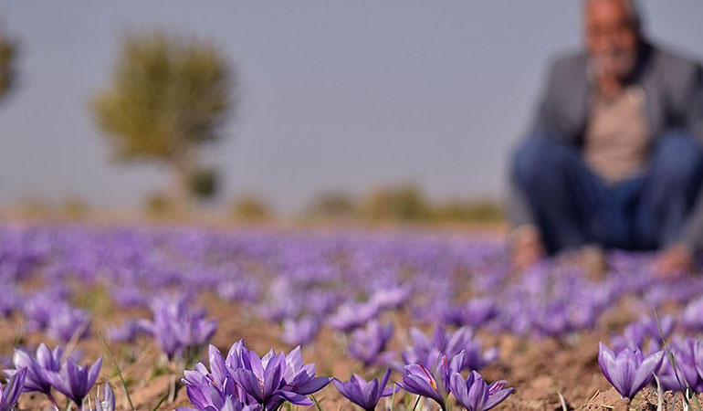 تصویر تصویر