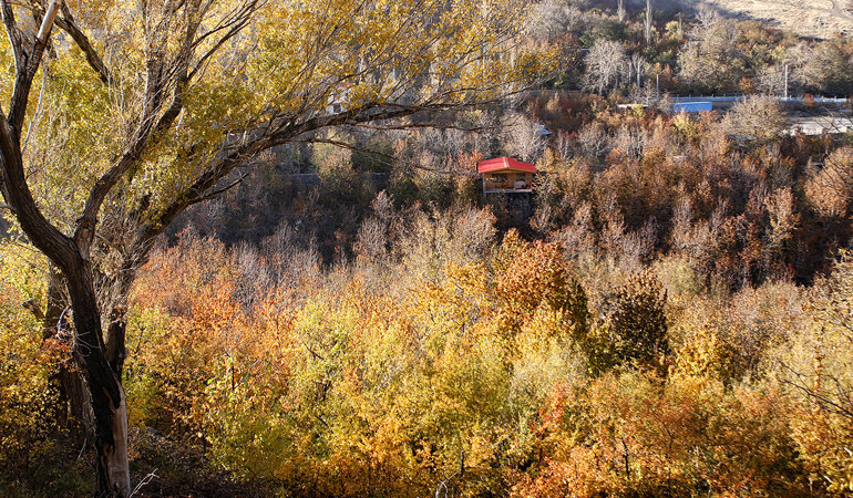 تصویر تصویر