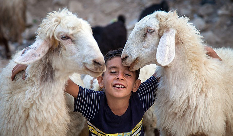 تصویر تصویر