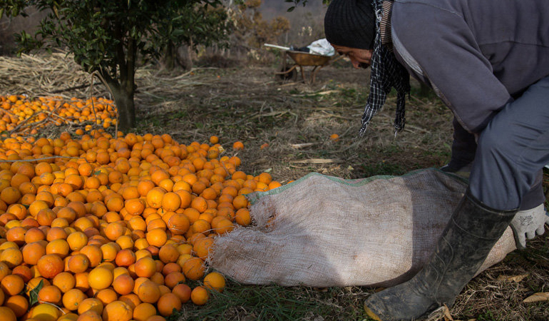 تصویر تصویر