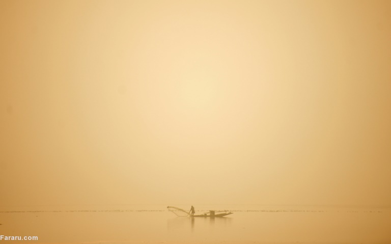 تصویر تصویر