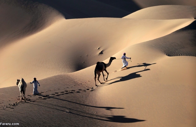 تصویر تصویر