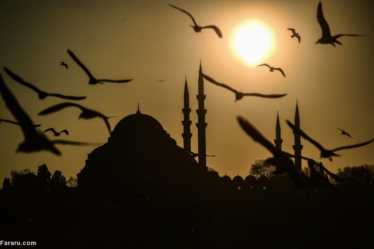 تصویر تصویر