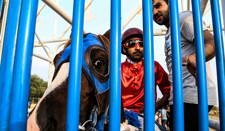 تصویر تصویر