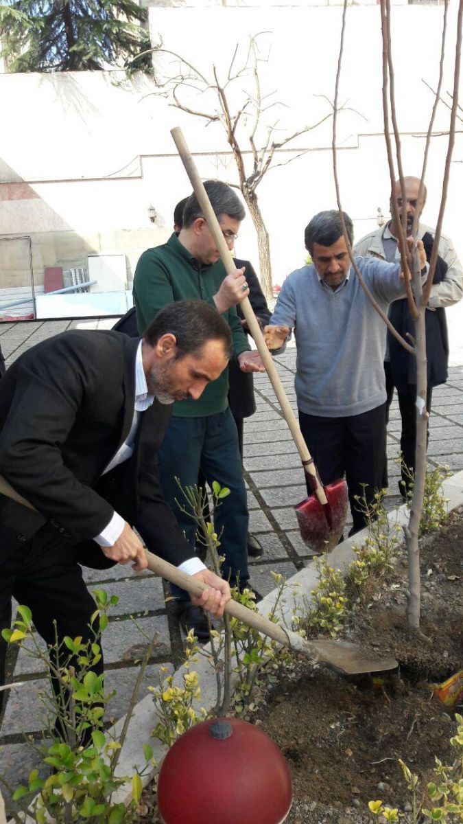 کاشت نهال توسط احمدی نژاد، بقایی و مشایی