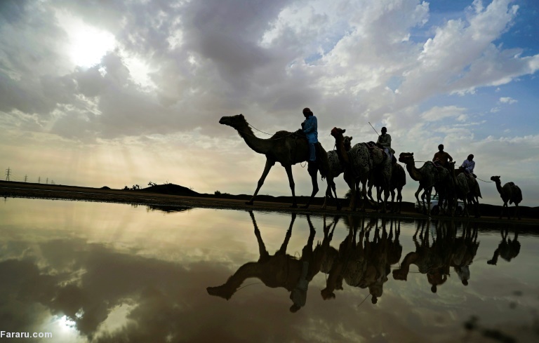 تصویر تصویر