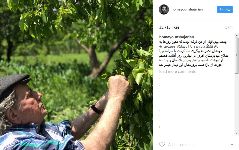 تازهترین عکسهای محمدرضا شجریان تازهترین عکسهای محمدرضا شجریان