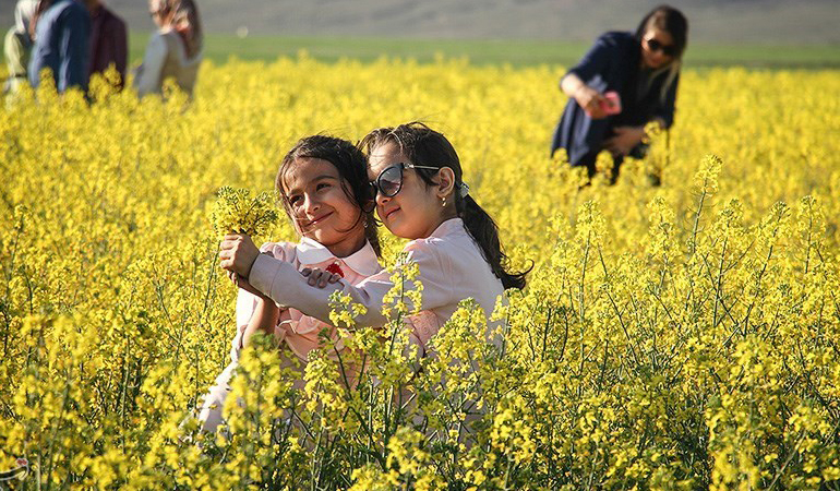 تصویر تصویر