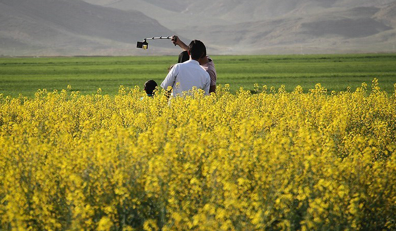 تصویر تصویر
