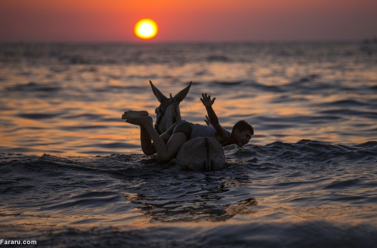 تصویر تصویر