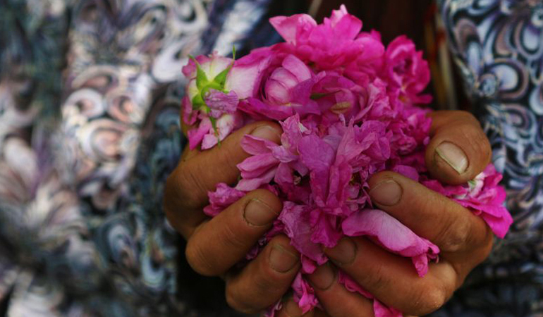 تصویر تصویر