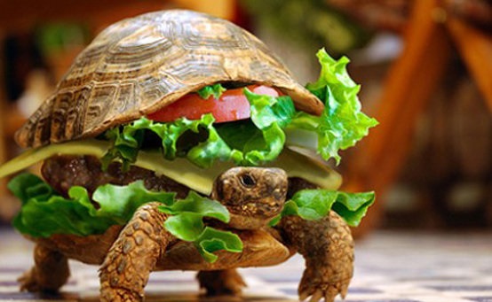 عجیب‌ترین چیزهایی که در هواپیما کشف شد!