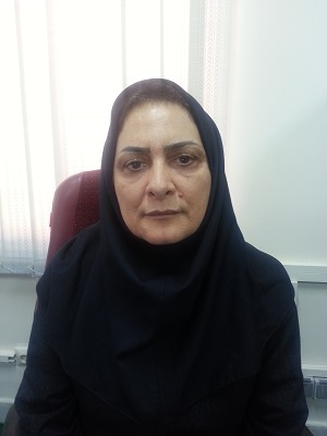 تیم اقتصادی دولت با تیم قبلی چقدر تفاوت دارد؟ تیم اقتصادی دولت با تیم قبلی چقدر تفاوت دارد؟