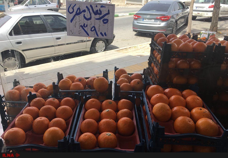 تغییر نام پرتقال ایرانی به پرتقال مصری برای گران‌فروشی