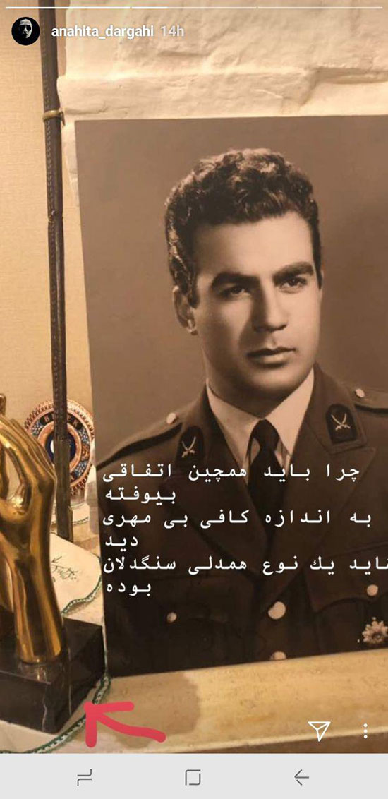 (تصاویر) سرقت جایزه «سپاس» ملک مطیعی از خانه دخترش