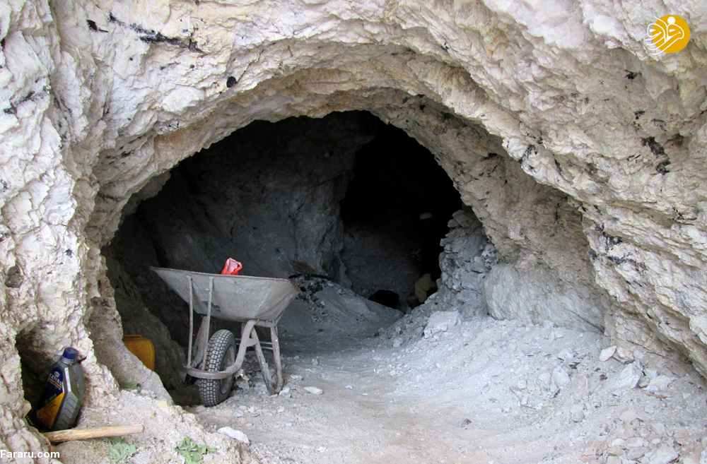 ثروت میلیون دلاری 