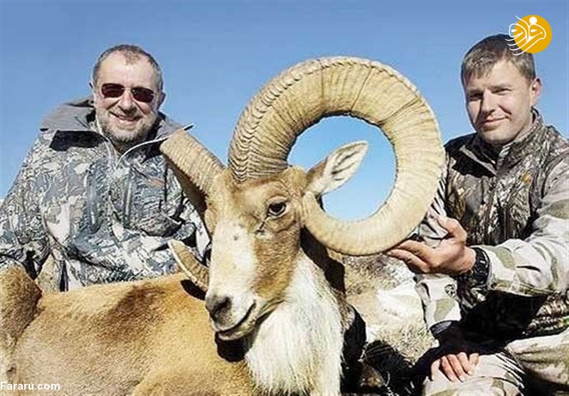 شکارچیان آمریکایی در ایران چه می‌کنند؟