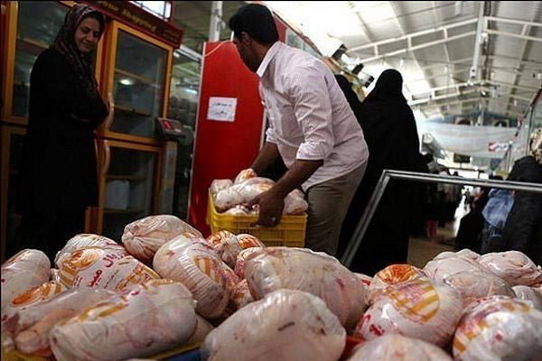 وضعیت بازار مرغ چگونه است؟ وضعیت بازار مرغ چگونه است؟