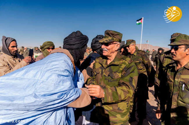 (تصاویر)