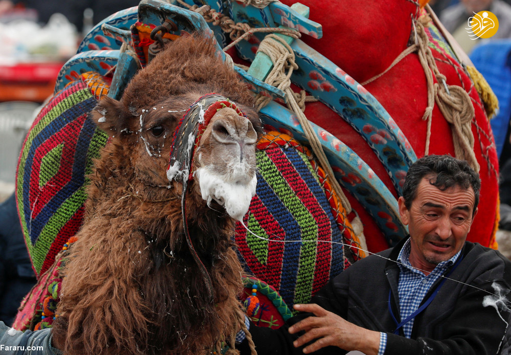 (تصاویر)